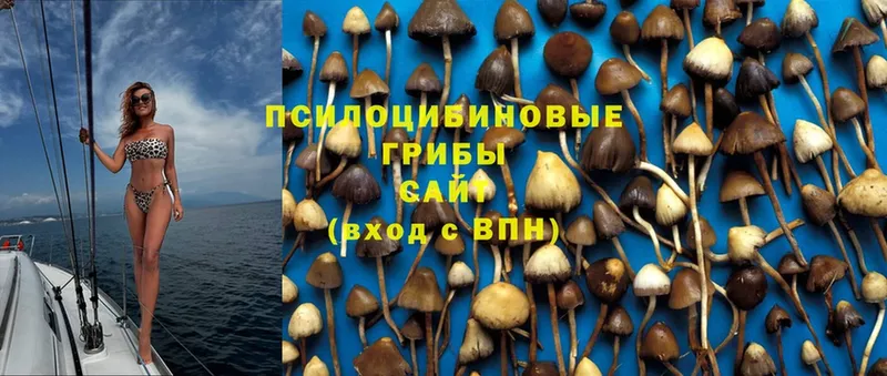 Галлюциногенные грибы Magic Shrooms  дарнет шоп  Белебей 